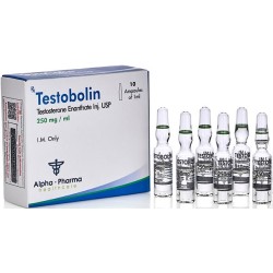 Testobolin 250Mg (Testosterone En Amp)