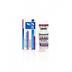 Testosterona E 250mg - 10ml vial